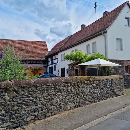 Gaestehaus Iwwerdorfer Hof Budingen Exterior photo